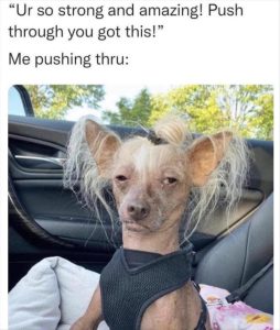 Stupid Bar Memes yousaresamazing