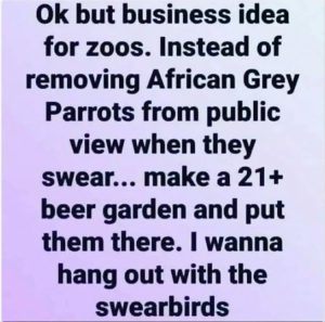 Stupid Bar Memes zsas164