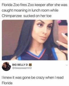 Stupid Bar Memes zsas217