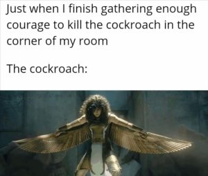 Stupid Bar Memes zsas221