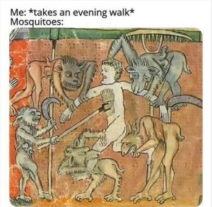 Stupid Bar Memes zsas64s1