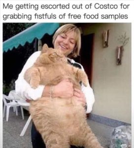 Stupid Bar Memes zsasfuns129