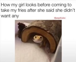Stupid Bar Memes zsfuns135s1