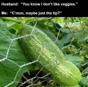 Stupid Bar Memes zsfuns141