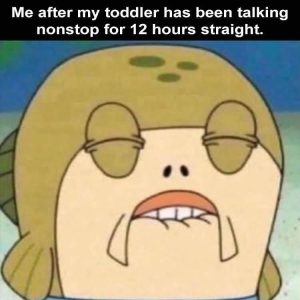 Stupid Bar Memes zsfuns178s2