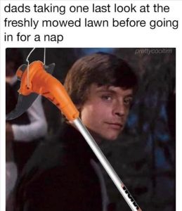 Stupid Bar Memes zsfuns233s1