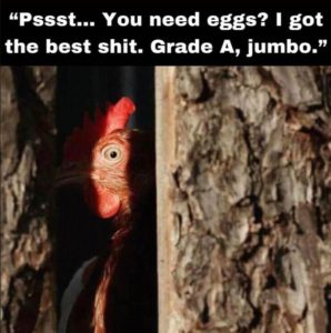 Stupid Bar Memes zsfuns250