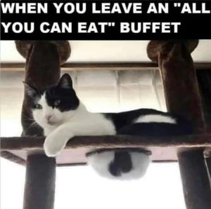 Stupid Bar Memes zsfuns254