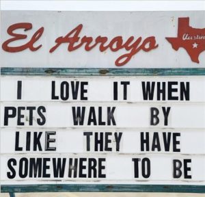 Stupid Bar Memes zsfuns279s1