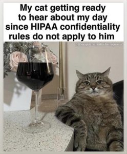 Stupid Bar Memes zsfuns2s1