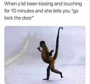 Stupid Bar Memes zsfuns306