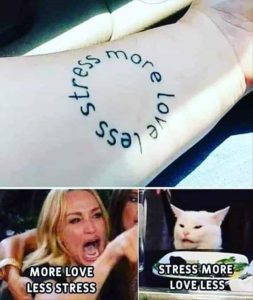 Stupid Bar Memes zsfuns31s1