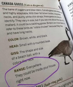 Stupid Bar Memes zsfuns92