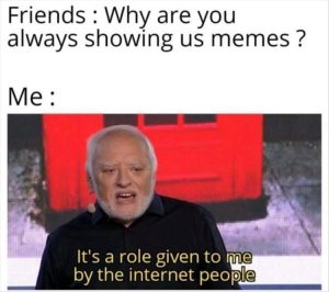 Stupid Bar Memes zsmemes52s1
