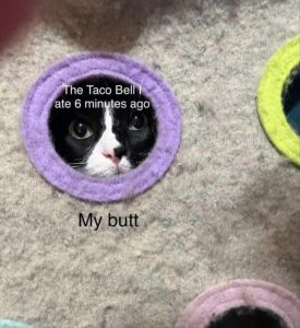 Stupid Bar Memes zsmemess14s1