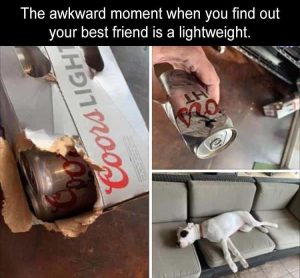 Stupid Bar Memes zsmemess232