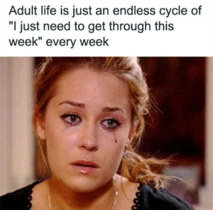 Stupid Bar Memes zsmemess6