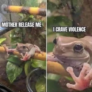 Stupid Bar Memes zsmemess7s1