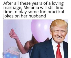 Stupid Bar Memes 031e642f0b61d35e