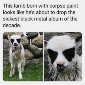 Stupid Bar Memes 0a949ea1c0dbe8ce