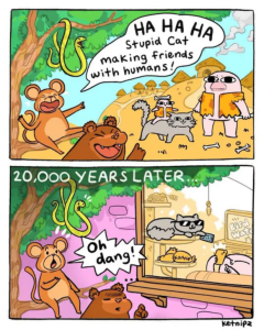 Stupid Bar Memes 130724ssermeme3s618x773