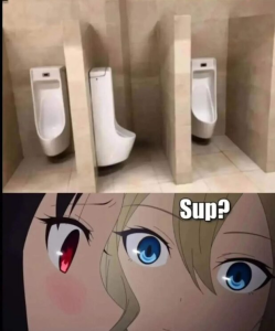 Stupid Bar Memes 170724ssermeme71s618x744