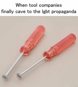 Stupid Bar Memes 1ce8d3b6fea8fec8