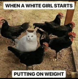 Stupid Bar Memes 1f3ce4f64c4af085