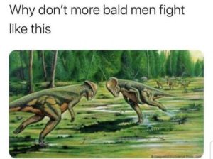 Stupid Bar Memes 33786b2ab3b6f554