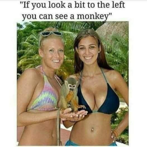 Stupid Bar Memes 35742d6308316fdb