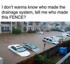 Stupid Bar Memes 39e086cfa48b4a4b