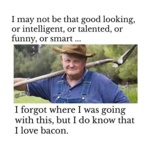 Stupid Bar Memes 3a67f471ddcb66ce