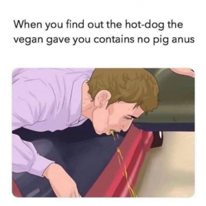 Stupid Bar Memes 409d476d552d69bc