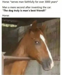 Stupid Bar Memes 414fc14a4d100e61