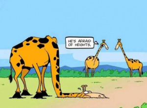 Stupid Bar Memes 46da32b205ecb678