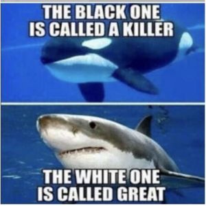 Stupid Bar Memes 4ee261b63847c279