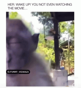 Stupid Bar Memes 505d15310b635e4a