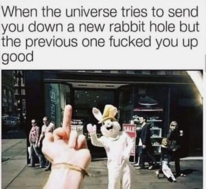 Stupid Bar Memes 5135e9a51c916df1