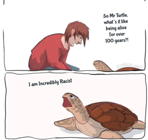 Stupid Bar Memes 6699c3961b302