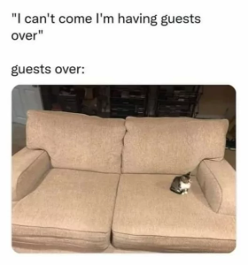 Stupid Bar Memes 669c0bd2f2ec1