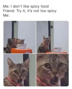 Stupid Bar Memes 669f65e5a5a37