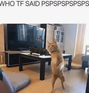 Stupid Bar Memes 66a2c1bf7fefd