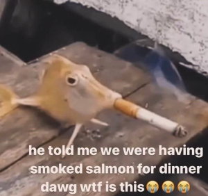 Stupid Bar Memes 66a357d733dcb
