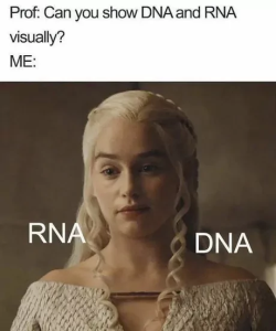 Stupid Bar Memes 66a36128afa42