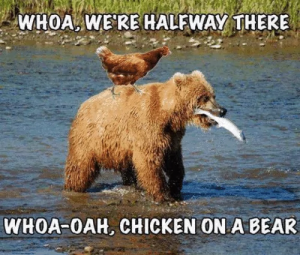 Stupid Bar Memes 66a419cb8f0d3