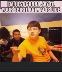 Stupid Bar Memes 6945c21c0f91611e