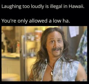 Stupid Bar Memes 6d69a1f236ad7a1b