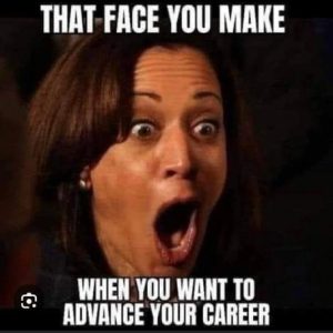 Stupid Bar Memes 6e696e79e2137a64