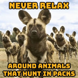 Stupid Bar Memes 77c9c96ac16fe518