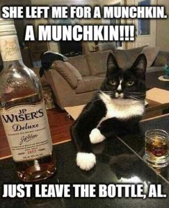 Stupid Bar Memes 79ec71ef52beb090